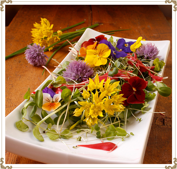Salad of Sprouts and Flowers with Creamy Raspberry Vinaigrette
Gluten-free, dairy-free (casein-free), hypotoxic and vegan 
By: Cuisine l'Angélique
